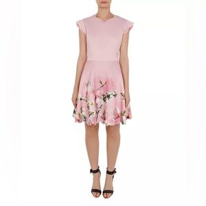 NWT Ted Baker Grettae Harmony Skater Dress US Sz 6 Wedding Guest Bridal Shower